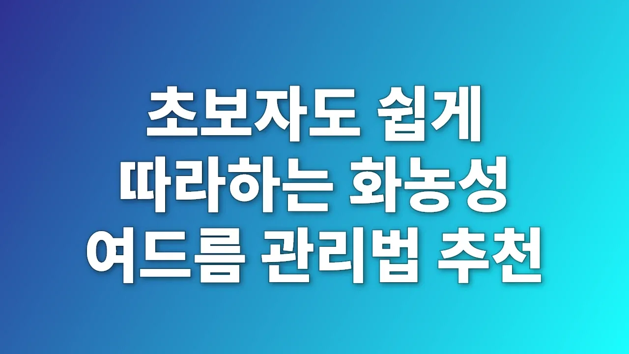 초보자도 쉽게 따라하는 화농성 여드름 관리법 추천